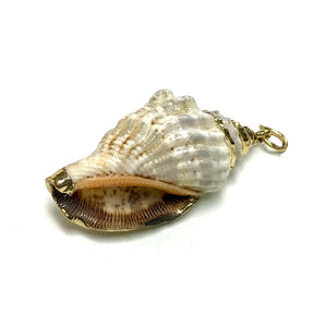 <b >Shell pendant</b><br><i> One piece</i>